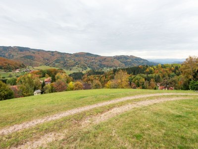 Apartment Apartment in Kleines Wiesental - Environment photo 37