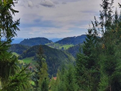 Apartment Apartment in Kleines Wiesental - Environment photo 43