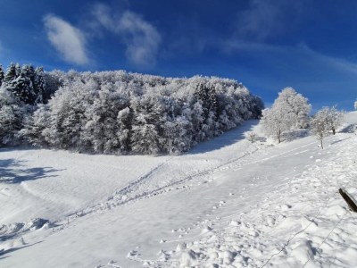 Apartment Apartment in Kleines Wiesental - Environment photo 48