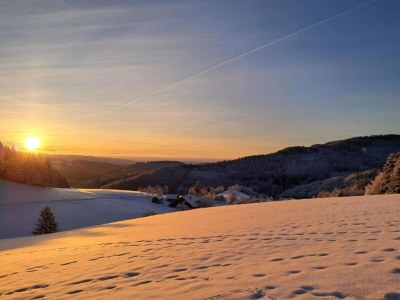 Apartment Apartment in Kleines Wiesental - Environment photo 49