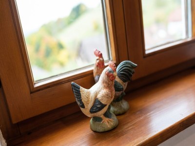 Apartment Apartment in Kleines Wiesental - Outdoor photo 51