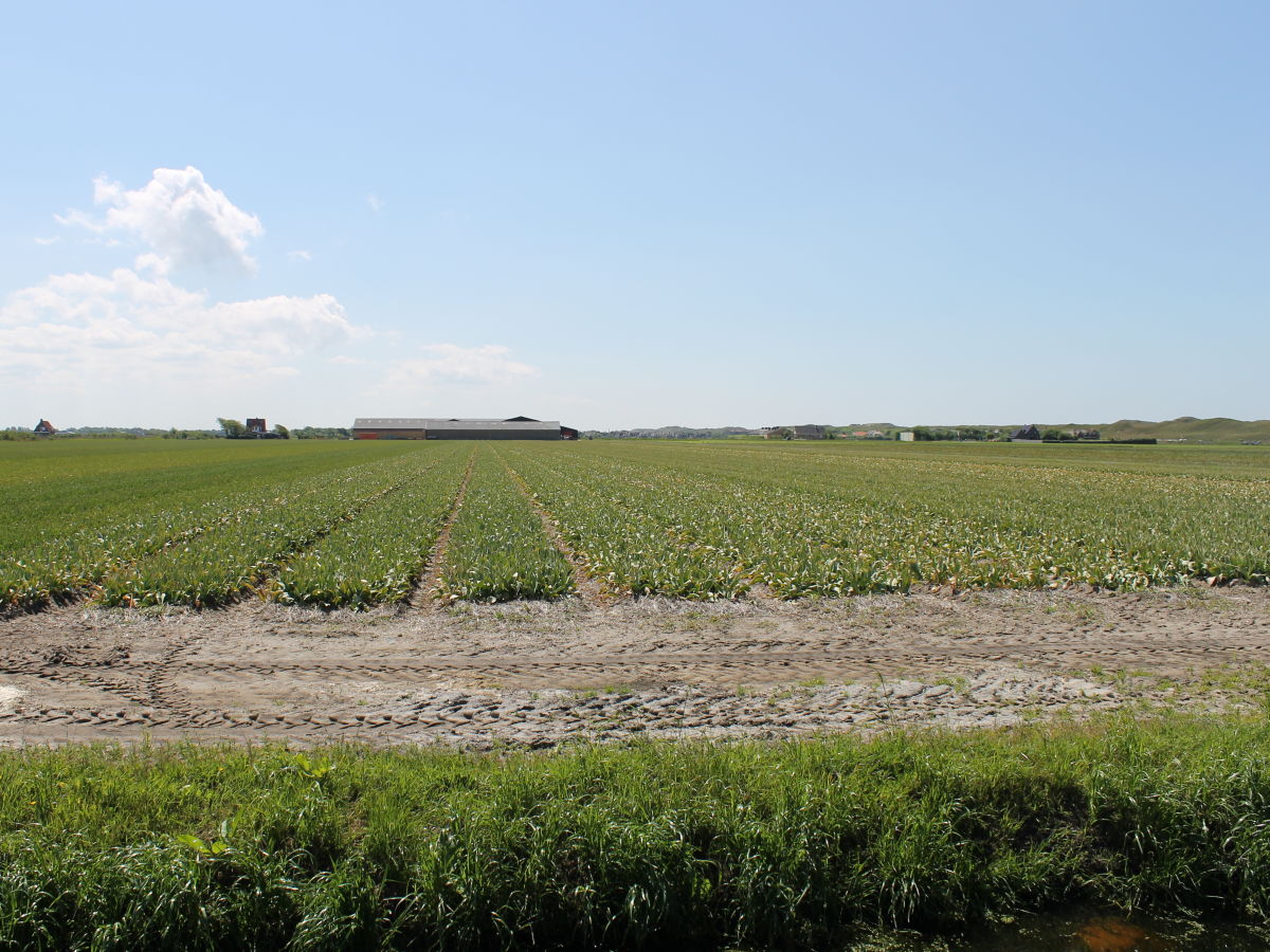 Chalet Wendy - Outdoor photo 3