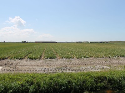 Chalet Wendy - Outdoor photo 3