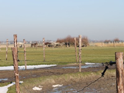 Chalet Wendy - Environment photo 13