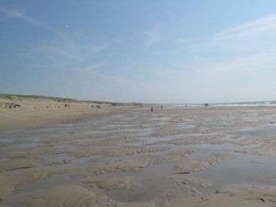 Chalet Wendy - Environment photo 17