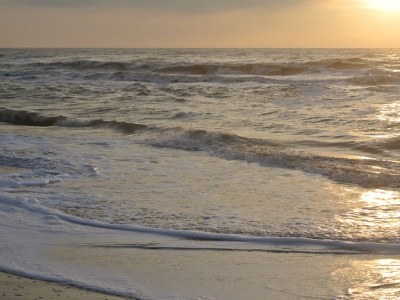 Chalet Wendy - Environment photo 18