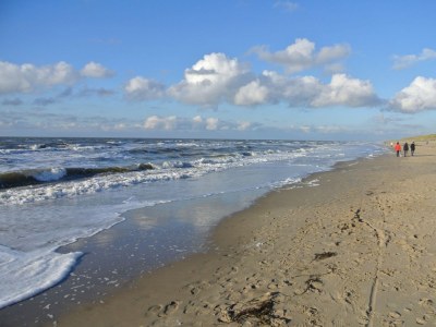 Chalet Wendy - Environment photo 19