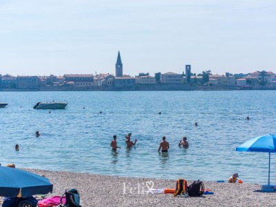Holiday apartment Felix, beheizter Pool - Environment photo 30