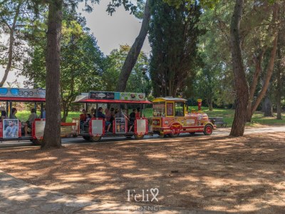 Holiday apartment Felix, beheizter Pool - Environment photo 35