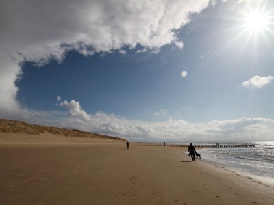 Holiday house De Specht - Environment photo 18