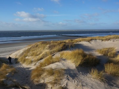 Holiday house De Specht - Environment photo 19