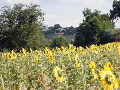 Holiday house Malerischer Aufenthalt in Spoleto - Environment photo 18