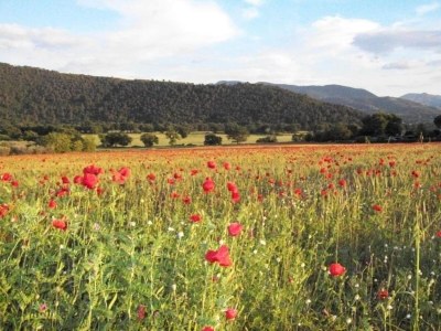 Holiday house Malerischer Aufenthalt in Spoleto - Environment photo 24