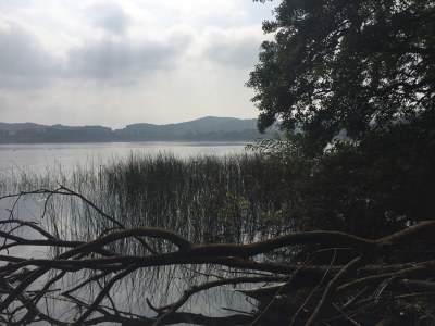 Holiday apartment Panoramablick - Environment photo 21