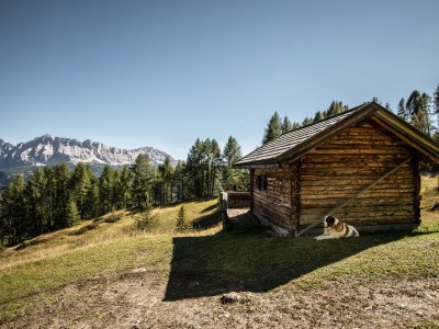 Holiday house Pradel Dolomites - Environment photo 16