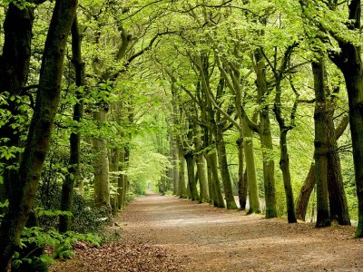 Apartment Luxury Apartment Center Bergen - Environment photo 17