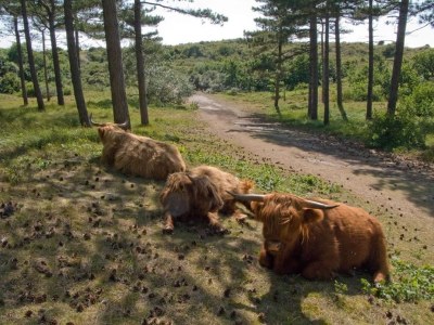 Holiday apartment BeachVibes - Environment photo 27