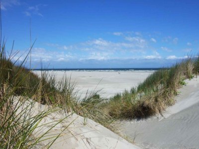 Holiday apartment BeachVibes - Environment photo 28