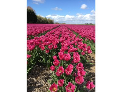 Holiday apartment BeachVibes - Environment photo 29