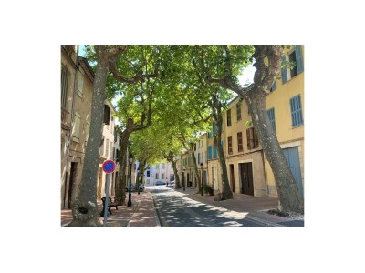 Holiday house Les Oliviers - Environment photo 26