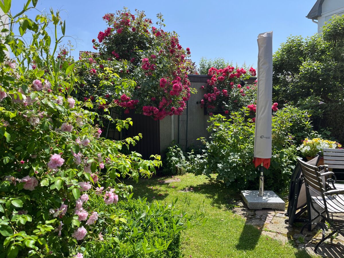 Holiday apartment in the Werra Valley - Outdoor photo 5