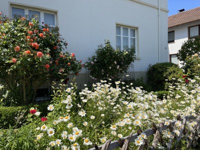 Holiday apartment in the Werra Valley - Outdoor photo 7