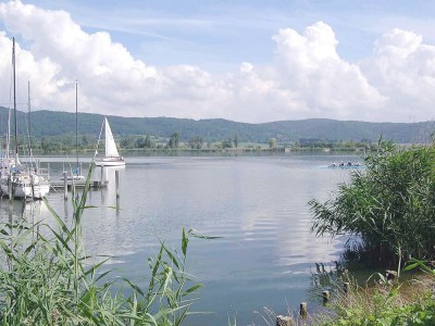 Holiday apartment in the Werra Valley - Environment photo 19