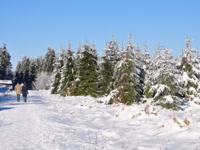 Holiday apartment in the Werra Valley - Environment photo 23