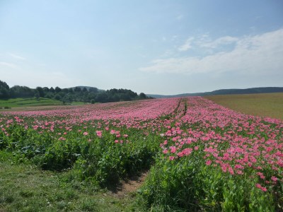 Holiday apartment in the Werra Valley - Environment photo 25