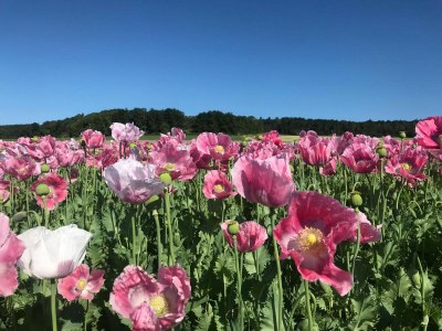 Holiday apartment in the Werra Valley - Environment photo 29