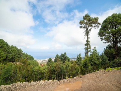 Holiday house Ferienhaus in El Amparo mit Meerblick - Environment photo 33