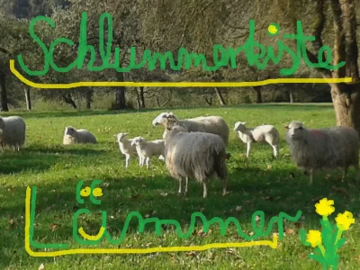 Holiday apartment Schlummerkiste upper floor Sonnenblume - Environment photo 14