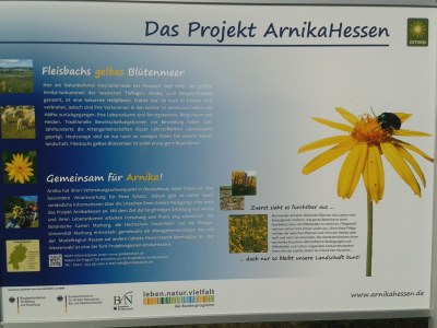 Holiday apartment Schlummerkiste upper floor Sonnenblume - Environment photo 15