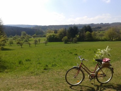 Holiday apartment Schlummerkiste upper floor Sonnenblume - Environment photo 16
