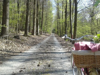 Holiday apartment Schlummerkiste upper floor Sonnenblume - Environment photo 17