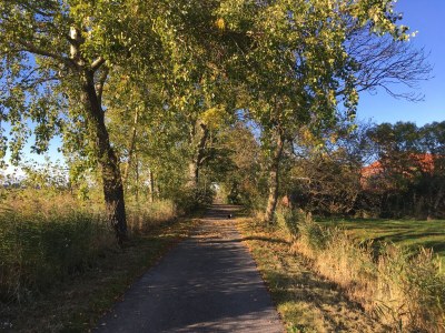 Holiday apartment Breekate - Environment photo 28