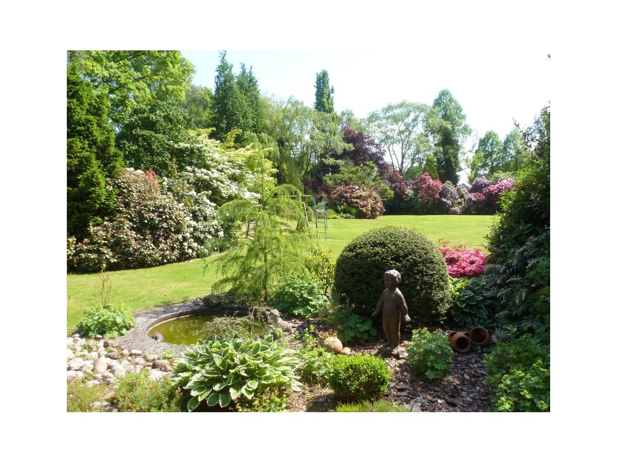 Holiday apartment Kaminzimmer - Outdoor photo 5