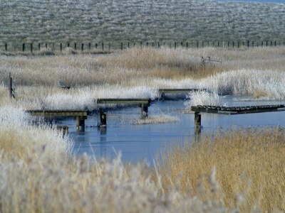 Holiday apartment Alte Kirche on the Kastanienhof - Environment photo 26
