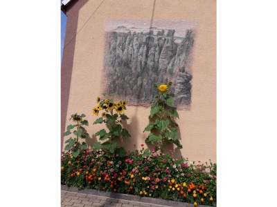 Holiday apartment Thomas - Outdoor photo 14