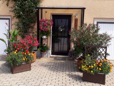 Holiday apartment Thomas - Outdoor photo 16