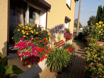 Holiday apartment Thomas - Outdoor photo 17