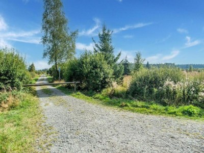 Apartment Ferienwohnung in Willingen mit Terrasse - Environment photo 18