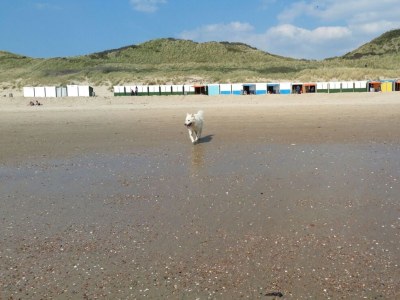 Apartment Sea View 1 - Environment photo 14