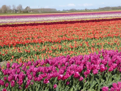 Holiday house SP 14 - Environment photo 19