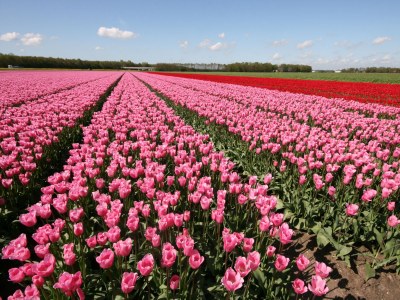 Holiday house Brekkense Wiel 39 - Environment photo 24