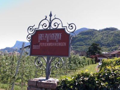 Holiday apartment Kreuzwegerhof - Outdoor photo 2