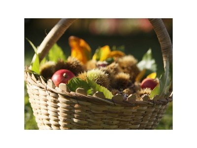 Holiday apartment Kreuzwegerhof - Outdoor photo 19