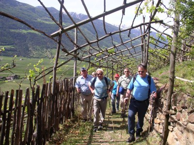 Holiday apartment Kreuzwegerhof - Environment photo 32