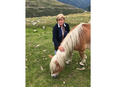 Holiday apartment Kreuzwegerhof - Environment photo 34