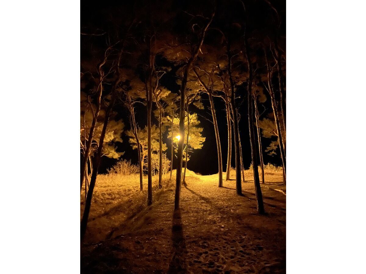 Holiday house Strandläufer (Sandpiper) - Outdoor photo 4
